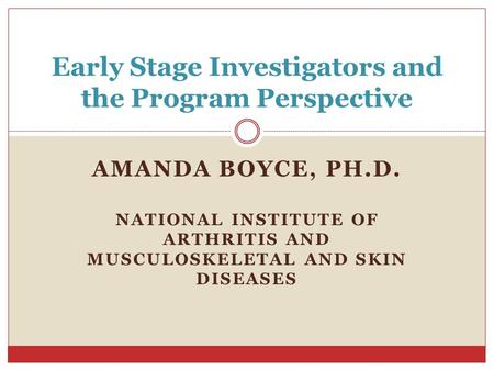 Early Stage Investigators and the Program Perspective