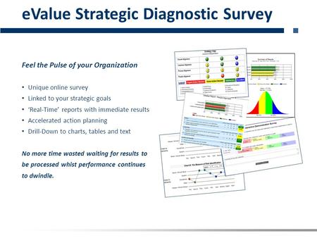 Feel the Pulse of your Organization Unique online survey Linked to your strategic goals ‘Real-Time’ reports with immediate results Accelerated action planning.