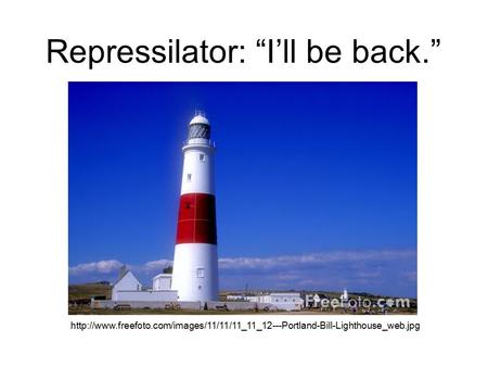 Repressilator: “I’ll be back.”