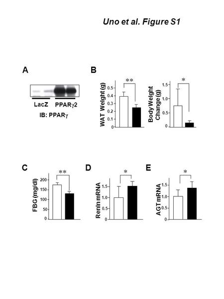 A B C 0 50 100 150 200 FBG (mg/dl) ** PPAR  2 LacZ IB: PPAR  WAT Weight (g) 0 0.1 0.2 0.3 0.4 0.5 ** Body Weight Change (g) * 0 0.5 1.0 1.5 Uno et al.