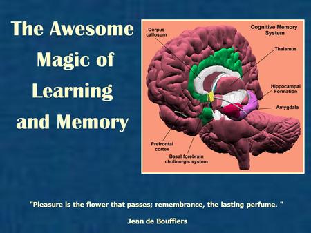 The Awesome Magic of Learning and Memory Pleasure is the flower that passes; remembrance, the lasting perfume.  Jean de Boufflers.