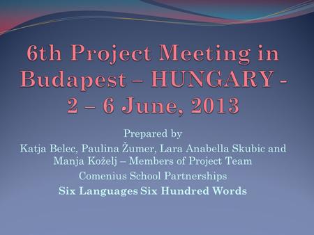 6th Project Meeting in Budapest – HUNGARY - 2 – 6 June, 2013