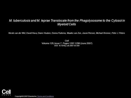 M. tuberculosis and M. leprae Translocate from the Phagolysosome to the Cytosol in Myeloid Cells Nicole van der Wel, David Hava, Diane Houben, Donna Fluitsma,