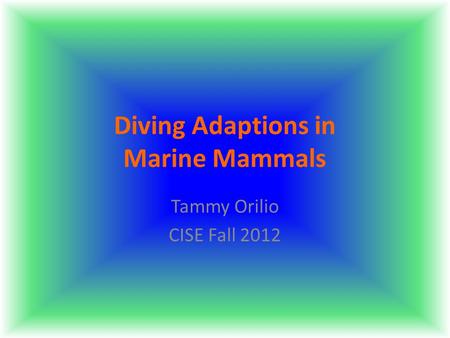 Diving Adaptions in Marine Mammals