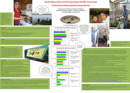 South Indian Lake is active in growing a healthy community: Promoting traditional foods and gardening Asfia Gulrukh Kamal and Shirley Thompson Natural.