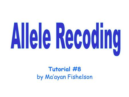 Tutorial #8 by Ma’ayan Fishelson. Computational Difficulties Algorithms that perform multipoint likelihood computations sum over all the possible ordered.