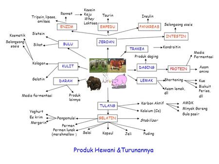 Produk Hewani &Turunannya