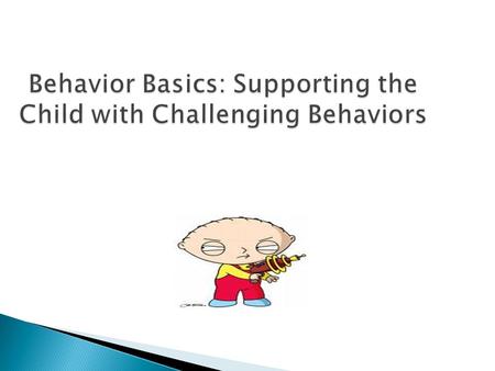 Behavior Basics: Supporting the Child with Challenging Behaviors.