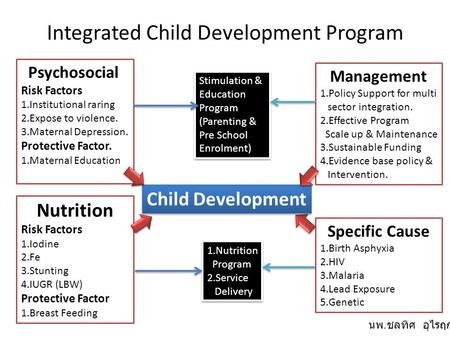 Nutrition Risk Factors 1.Iodine 2.Fe 3.Stunting 4.IUGR (LBW) Protective Factor 1.Breast Feeding Psychosocial Risk Factors 1.Institutional raring 2.Expose.