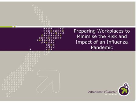 Preparing Workplaces to Minimise the Risk and Impact of an Influenza Pandemic.