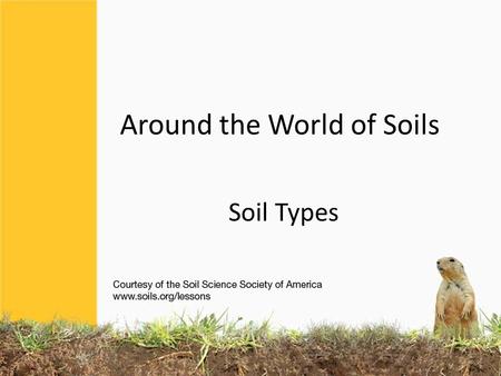 Around the World of Soils