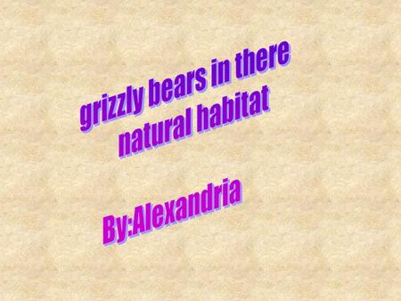 Black bears American Black Bears Cinnamon Bear Kermode Bear Glacier Bear Florida Black Bear Brown Bears Alaskan Brown Bear Asiatic Brown Bear European.