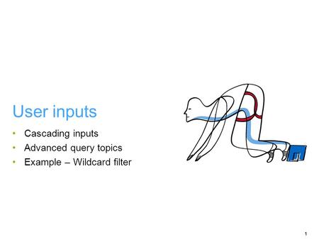 Cascading inputs Advanced query topics Example – Wildcard filter 1 User inputs.