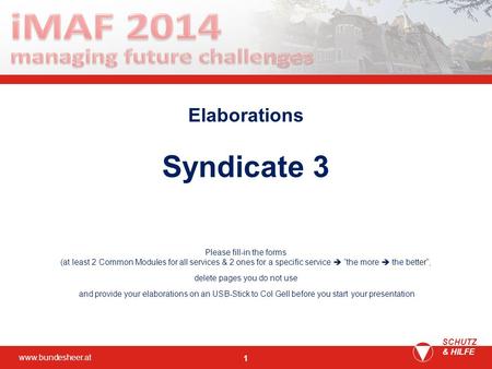Www.bundesheer.at SCHUTZ & HILFE 1 Elaborations Syndicate 3 Please fill-in the forms (at least 2 Common Modules for all services & 2 ones for a specific.