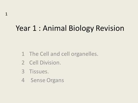 Year 1 : Animal Biology Revision