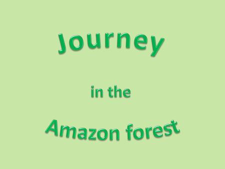 The river is surrounded by tropical forest, covering areas adjacent to nine countries - Brazil, Peru, Colombia, Venezuela, Ecuador, Bolivia, Guyana, Suriname.