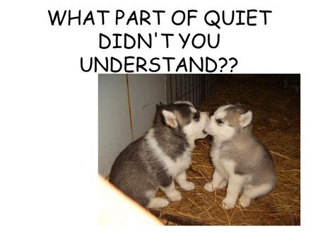 WHAT PART OF QUIET DIDN'T YOU UNDERSTAND??