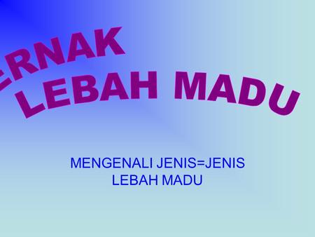 MENGENALI JENIS=JENIS LEBAH MADU