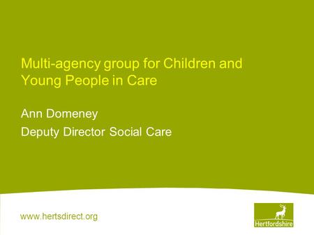 Multi-agency group for Children and Young People in Care