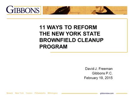 Newark New York Trenton Philadelphia Wilmington 11 WAYS TO REFORM THE NEW YORK STATE BROWNFIELD CLEANUP PROGRAM David J. Freeman Gibbons P.C. February.