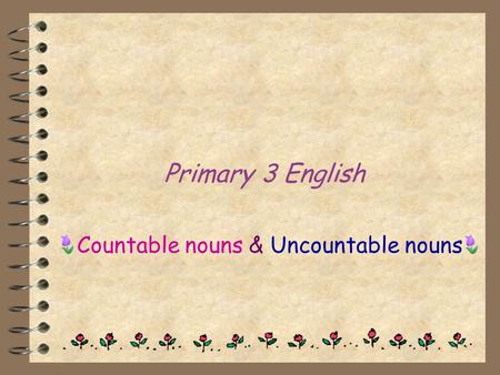 Countable nouns & Uncountable nouns