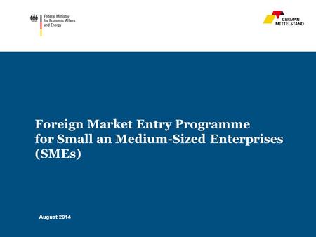 Foreign Market Entry Programme for Small an Medium-Sized Enterprises (SMEs) August 2014.