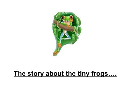 The story about the tiny frogs….