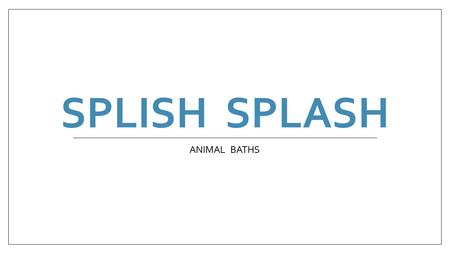 SPLISH SPLASH ANIMAL BATHS. BEASTS beasts all animals other than humans.