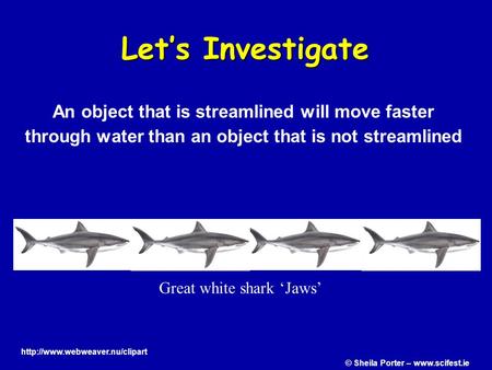 Let’s Investigate Great white shark ‘Jaws’ An object that is streamlined will move faster through water than an object that is not streamlined