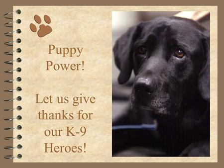 Puppy Power! Let us give thanks for our K-9 Heroes!