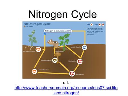 Nitrogen Cycle url: http://www.teachersdomain.org/resource/lsps07.sci.life.eco.nitrogen/