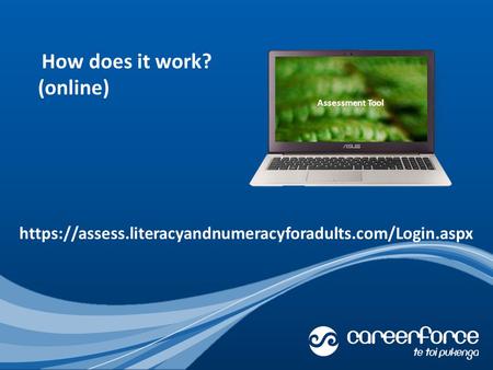 How does it work? (online) https://assess.literacyandnumeracyforadults.com/Login.aspx Assessment Tool.