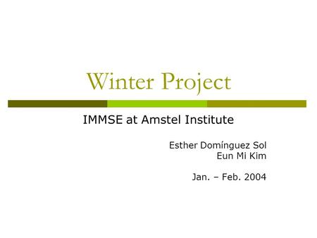 Winter Project IMMSE at Amstel Institute Esther Domínguez Sol Eun Mi Kim Jan. – Feb. 2004.