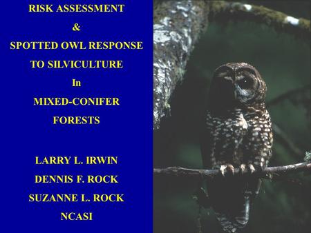 RISK ASSESSMENT & SPOTTED OWL RESPONSE TO SILVICULTURE In MIXED-CONIFER FORESTS LARRY L. IRWIN DENNIS F. ROCK SUZANNE L. ROCK NCASI.