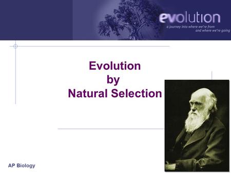 Evolution by Natural Selection