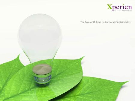 The Role of IT Asset in Corporate Sustainability.