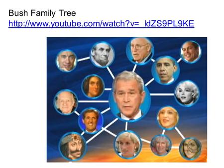 Bush Family Tree