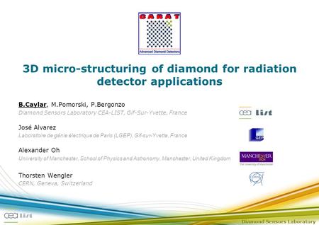 Diamond Sensors Laboratory 3D micro-structuring of diamond for radiation detector applications B.Caylar, M.Pomorski, P.Bergonzo Diamond Sensors Laboratory.