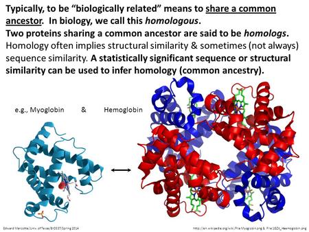 Typically, to be “biologically related” means to share a common ancestor. In biology, we call this homologous. Two proteins sharing a common ancestor are.