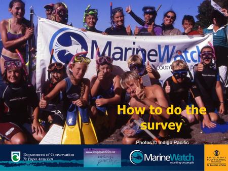 How to do the survey Photos © Indigo Pacific. Karakia Ko Rangi Ko Papa Ka Puta ko Rongo Ko Tanemahuta Ko Tāwhirimātea Ko Tangaroa Ko Haumietiketike Ko.