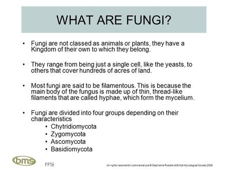 FF16 All rights reserved for commercial use © Stephanie Roberts & British Mycological Society 2005 WHAT ARE FUNGI? Fungi are not classed as animals or.