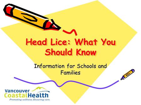 Head Lice: What You Should Know