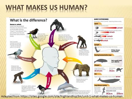 Adapted from https://sites.google.com/site/highlandhsp3m/unit-1-what-makes-us-human.