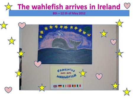 The wahlefish arrives in Ireland 8th – 12 th of May 2012.