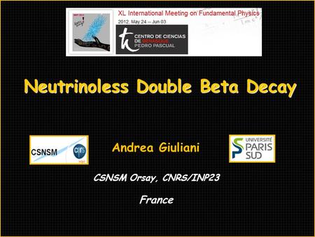 Neutrinoless Double Beta Decay