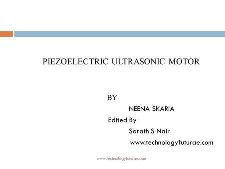 PIEZOELECTRIC ULTRASONIC MOTOR