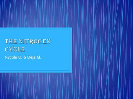 Nycole C. & Deja M.. Nitrogen is the most abundant element in the atmosphere. Organisms need nitrogen in relatively high amounts. Because of this, nitrogen.