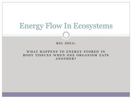 Energy Flow In Ecosystems