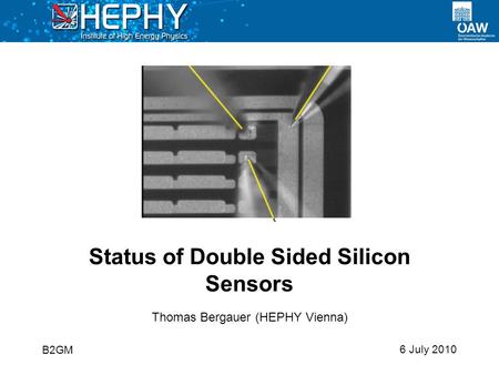 6 July 2010 Thomas Bergauer (HEPHY Vienna) Status of Double Sided Silicon Sensors B2GM.