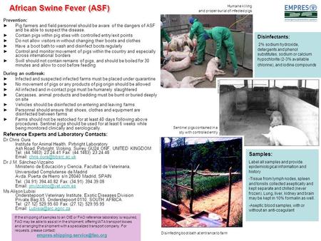 Prevention: ►Pig farmers and field personnel should be aware of the dangers of ASF and be able to suspect the disease. ►Contain pigs within pig sties with.